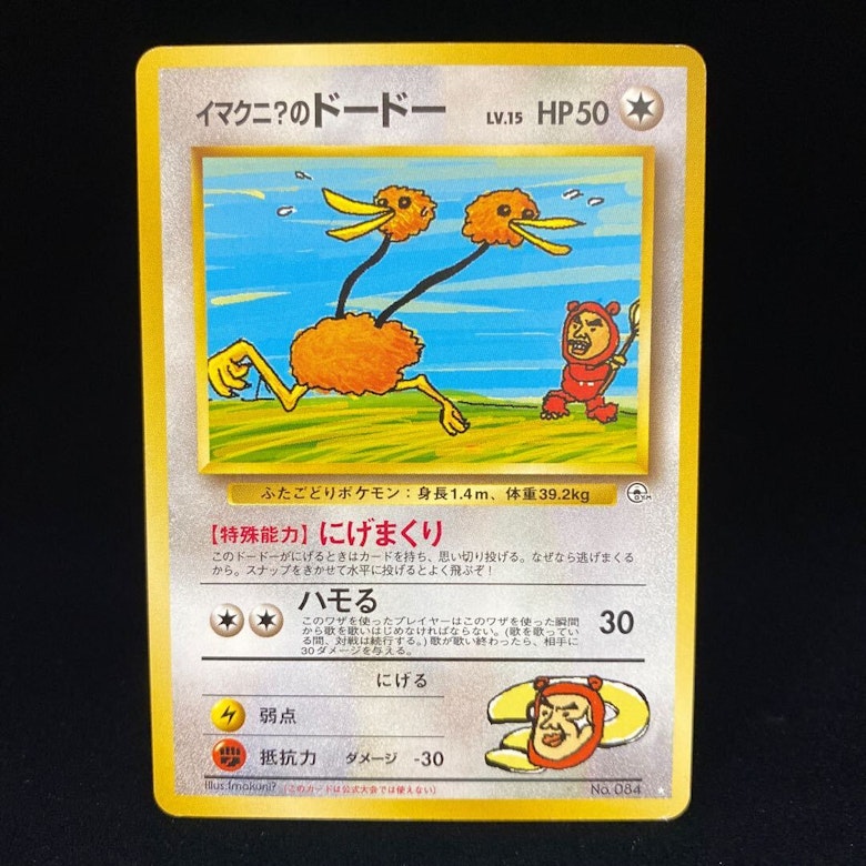 イマクニ? のドードー