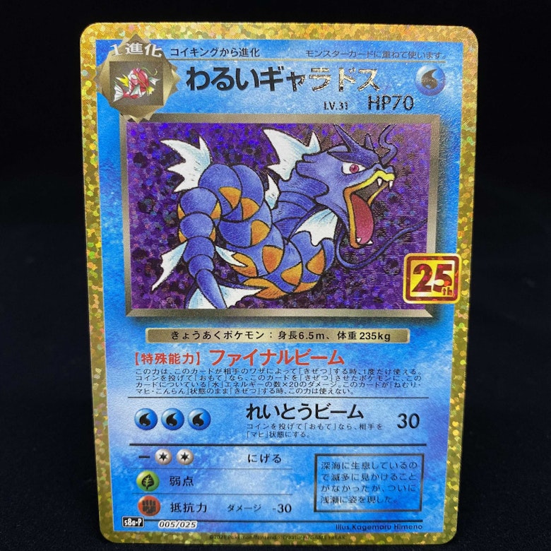 わるいギャラドス