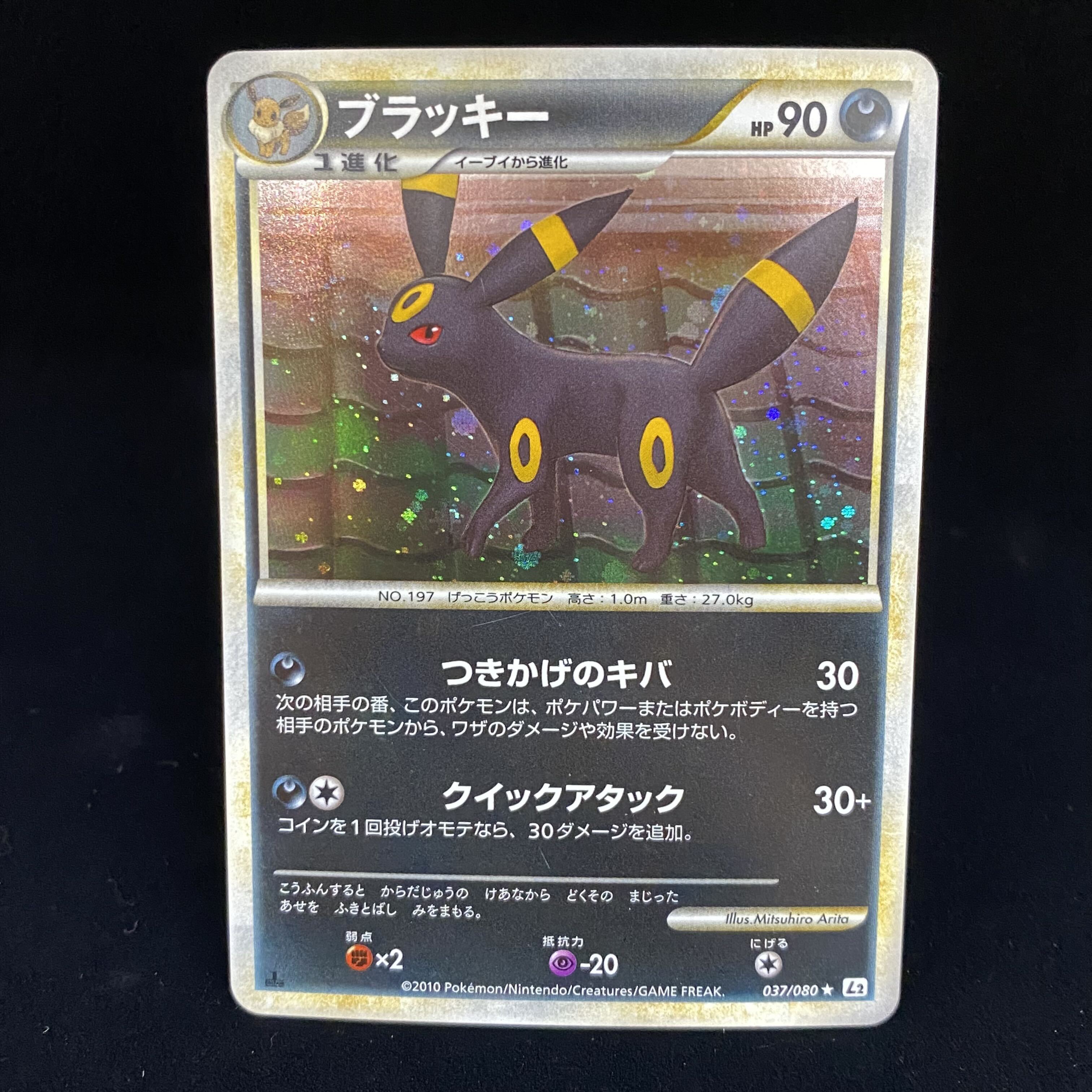 ポケモンカード「ブラッキー」関連の高額カード一覧・相場まとめ | magi